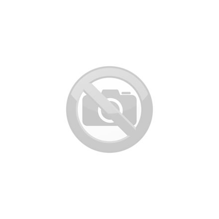 Dictionary of Renewable Energy