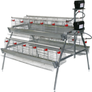  New Poultry Farming Equipment