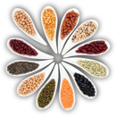 Softs Commodities