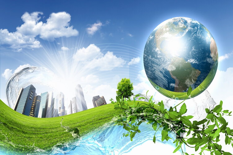 Environment and Forest