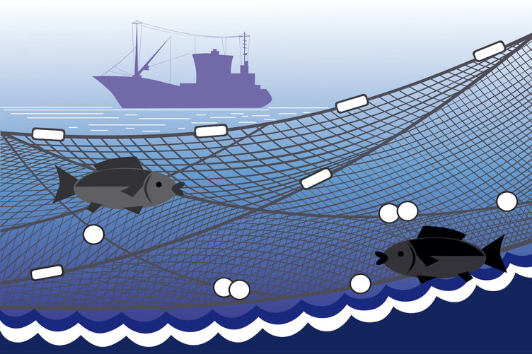 Fisheries News 
