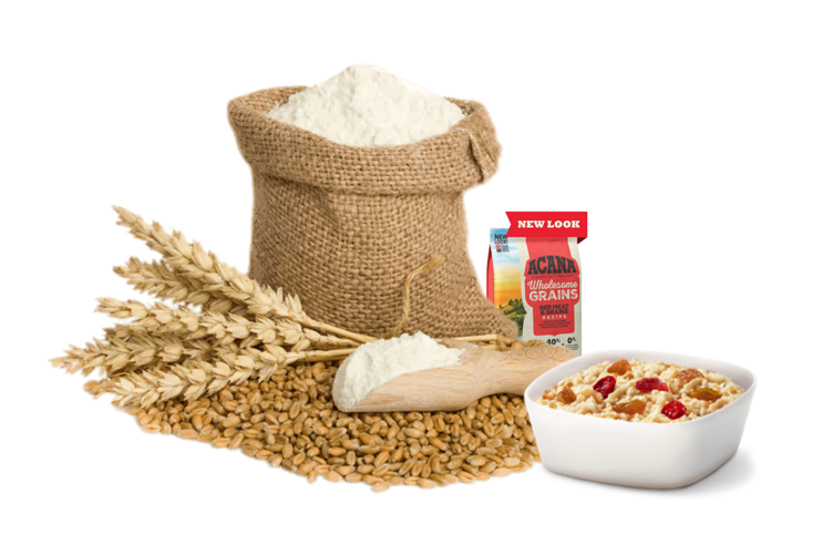 Grain and Flour