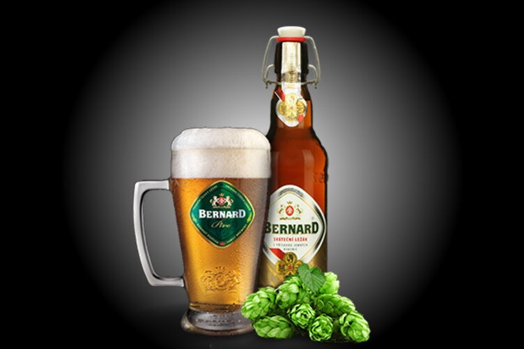 Bernard Beer
