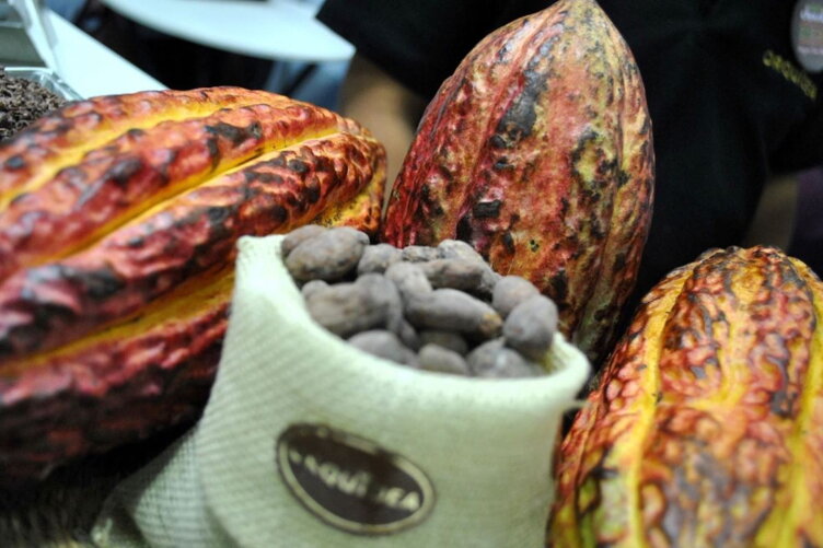 Cocoa Beans