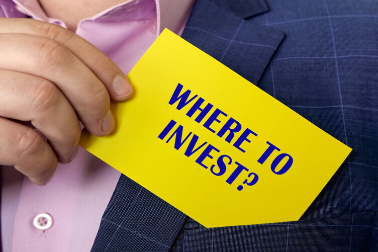 Individual Investors
