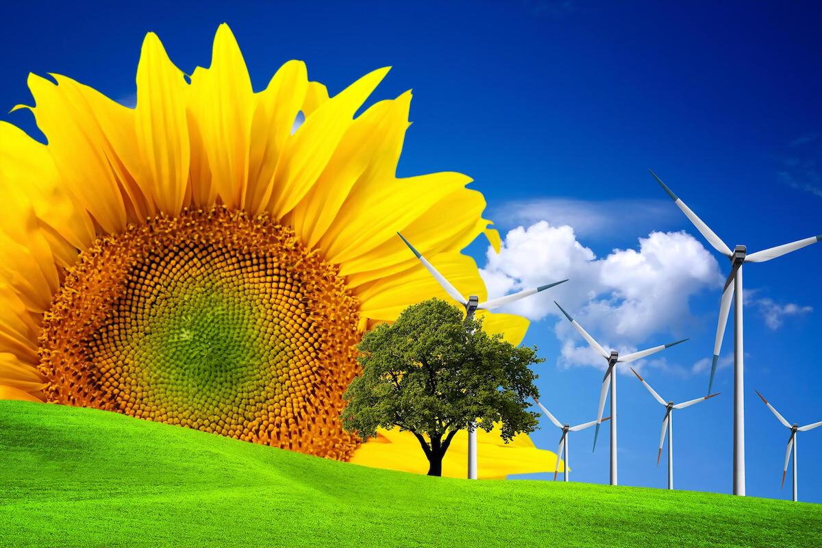 ENVIRONMENT & ECOLOGY