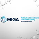 Multilateral Investment Guarantee Agency (MIGA)