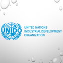 United Nations Industrial Development Organization (UNIDO)