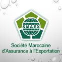 Société Marocaine d'Assurance à l'Exportation (SMAEX)