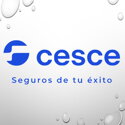 Spain CESCE