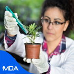 Agrochemicals & Fertilisers Market research Reports