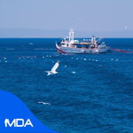 Marine Market Reports