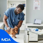 Animal Health Market Research Reports