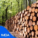 Global Wood products Market Reports
