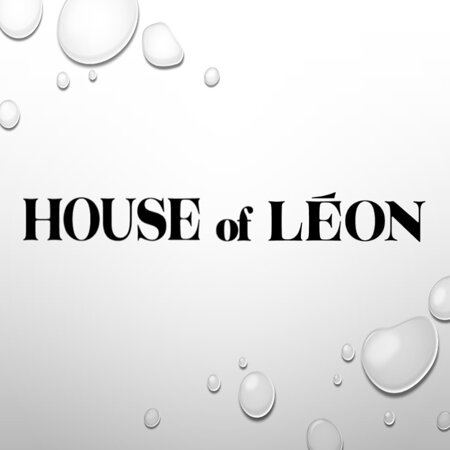SHOP HOUSE OF LEONE