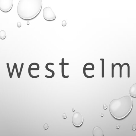 SHOP WEST ELM