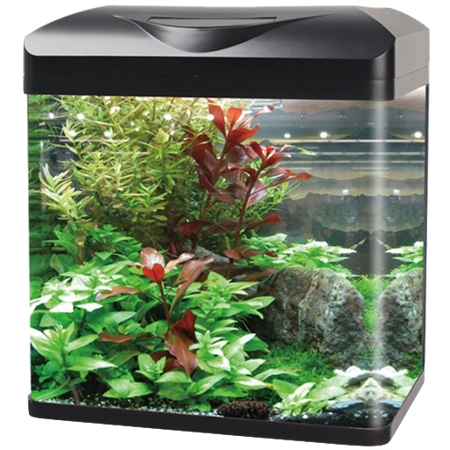 Aquarium & Fishbowls