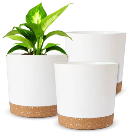 Decorative Planters