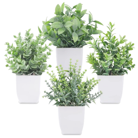 Faux / Artificial Plants