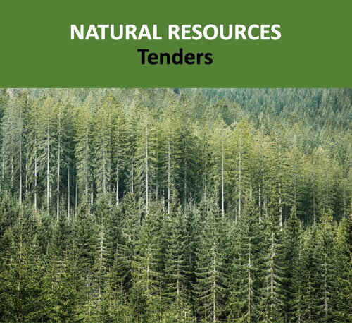 Natural Resources Tenders