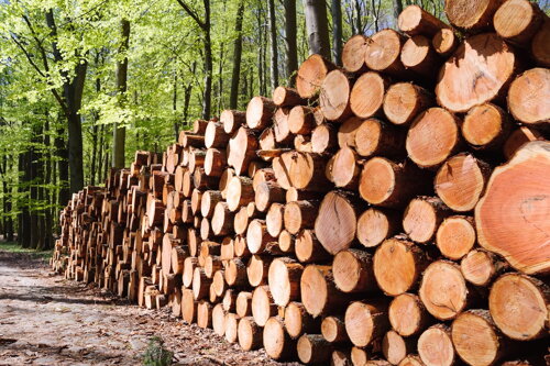 Biomass Technologies & Equipment