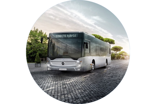 Buses