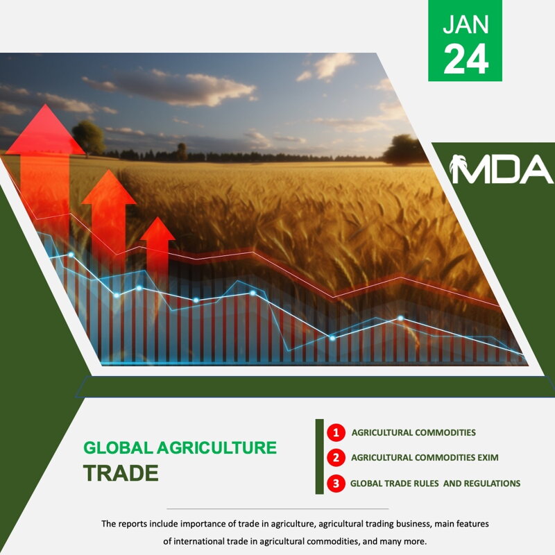 Global soybean market 2023 Global soybean market 2023